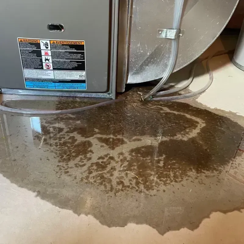 Appliance Leak Cleanup in Dallas County, MO